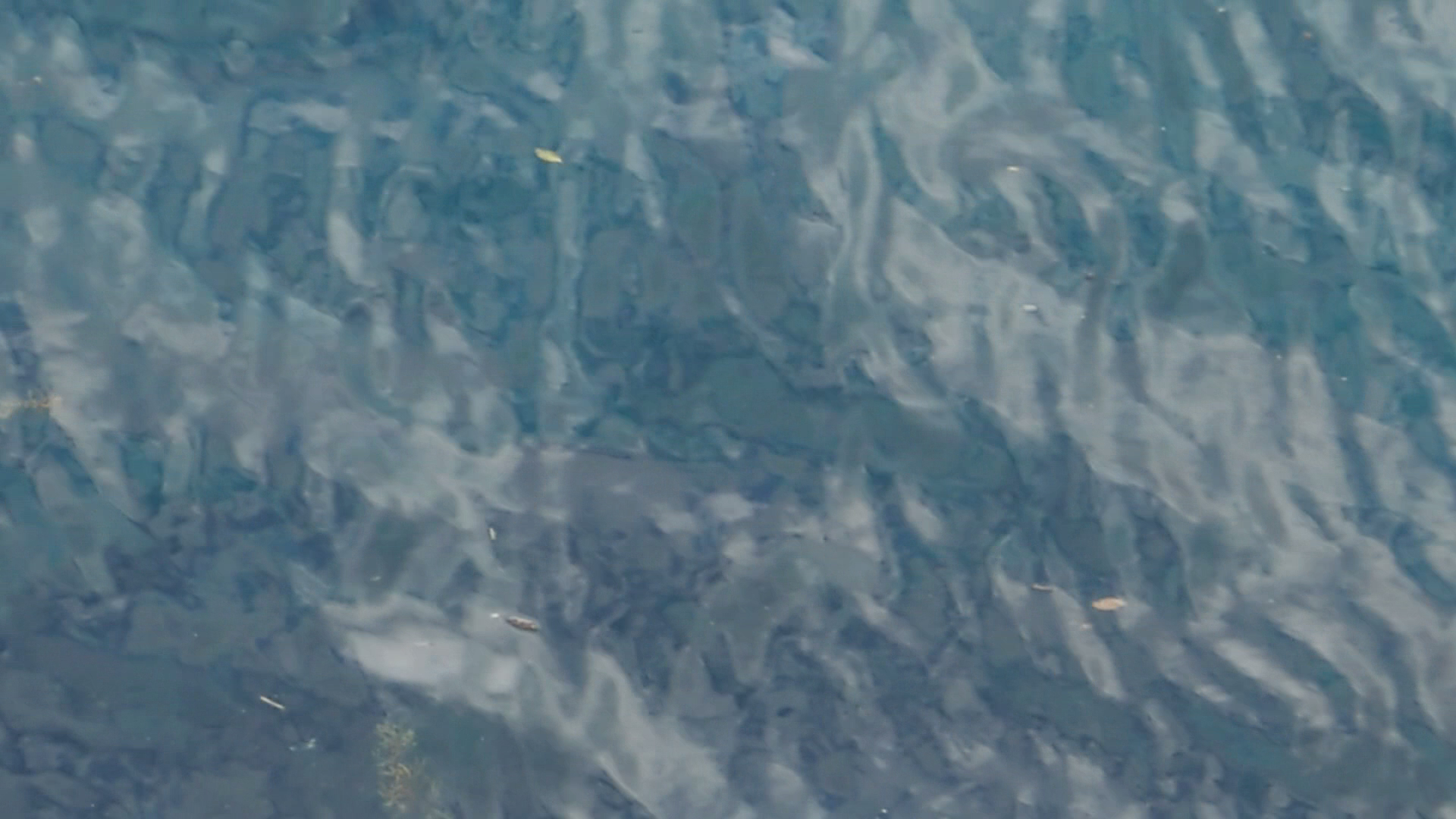 2022-11-09 10 Uhr 01 das Meer (Video, Foto)